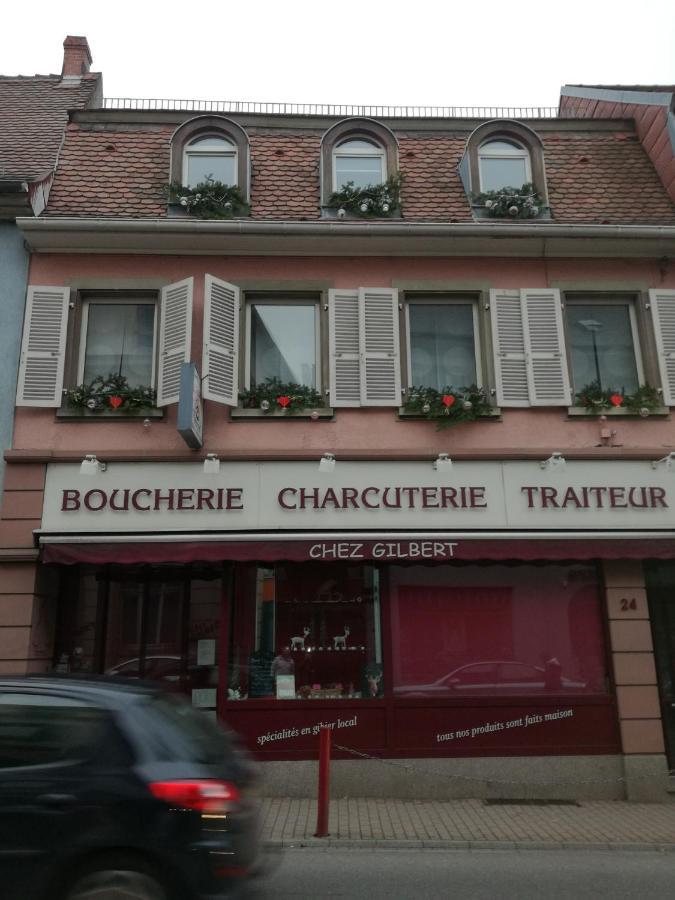 Spacieux Appartement Dans Le Centre De Munster เมาสแตร์ ภายนอก รูปภาพ